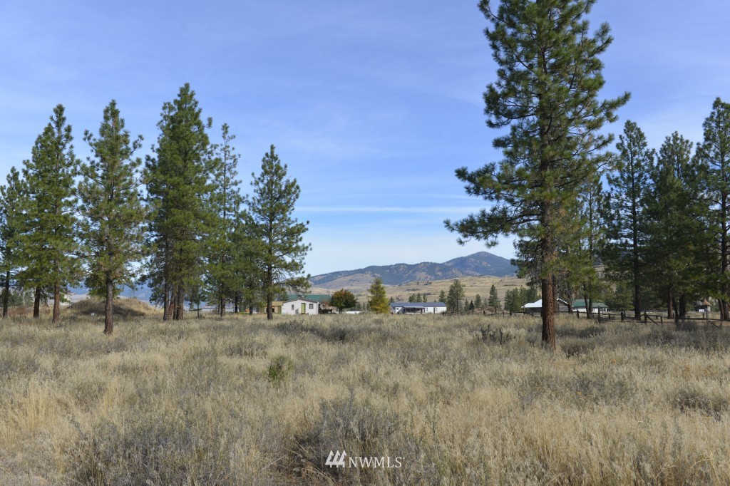 35 Wild Rose Road North Winthrop, WA 98862 - Photo 5 of 13 Gallery Image 5
