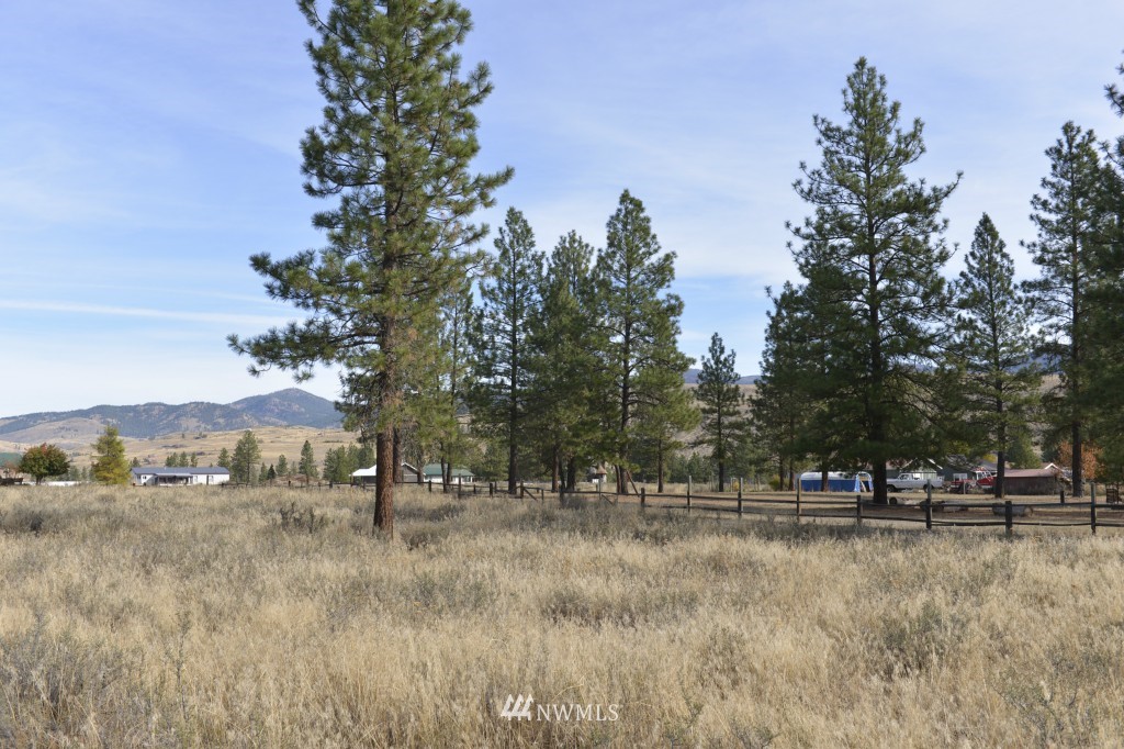 35 Wild Rose Road North Winthrop, WA 98862 - Photo 6 of 13 Gallery Image 6