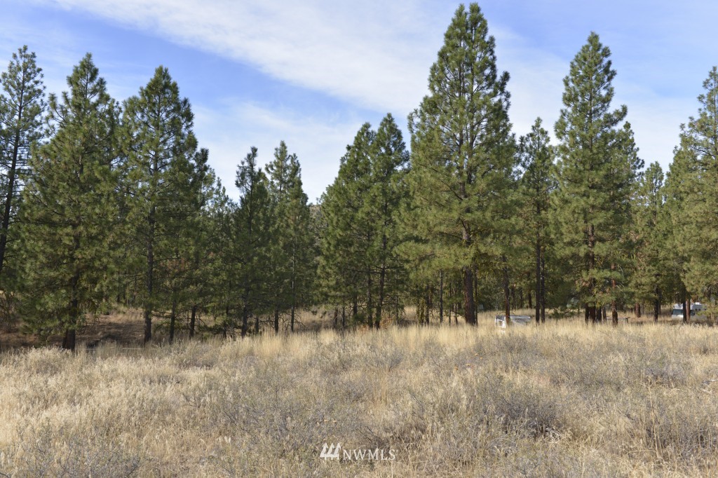 35 Wild Rose Road North Winthrop, WA 98862 - Photo 8 of 13 Gallery Image 8