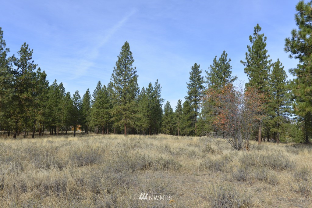 35 Wild Rose Road North Winthrop, WA 98862 - Photo 10 of 13 Gallery Image 10