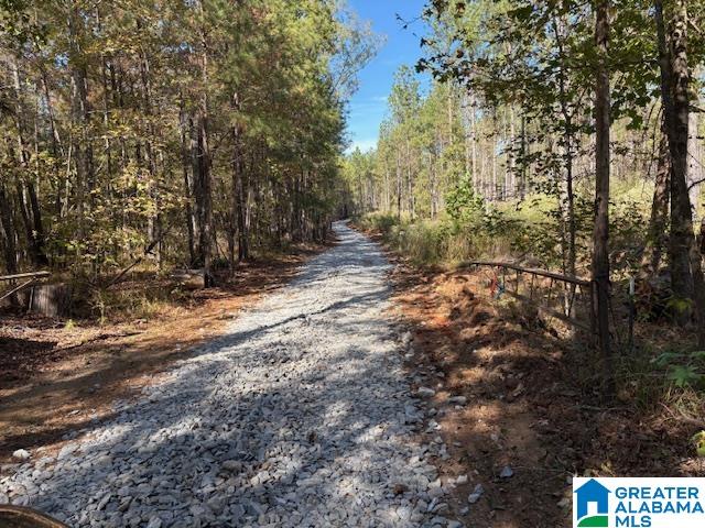 231 Us Highway Mathews, AL 36052 - Photo 9 of 22