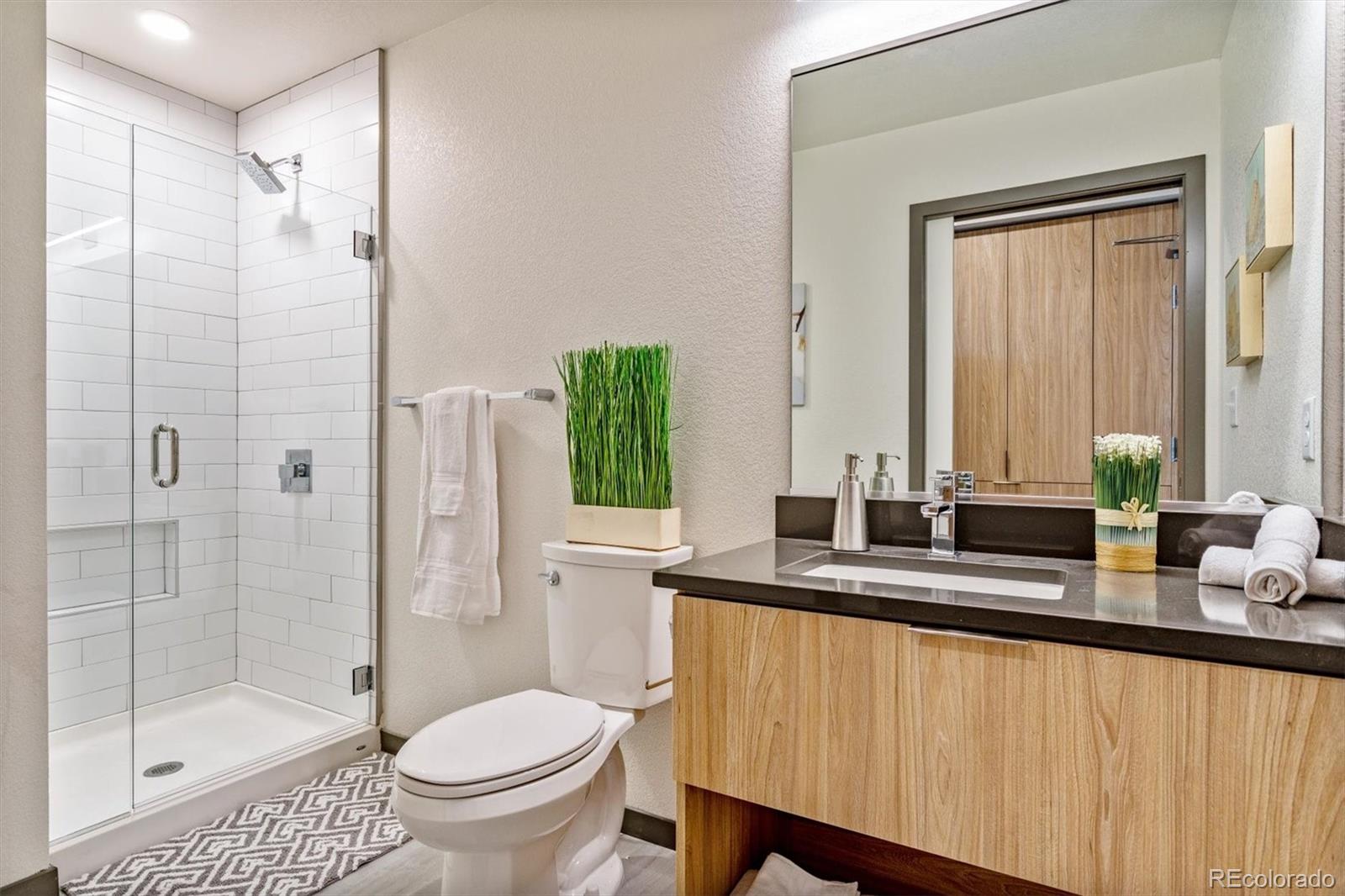 603 Inca Street, Unit 309 Denver, CO 80204 - Photo 19 of 27 a bath room with a sink and a mirror