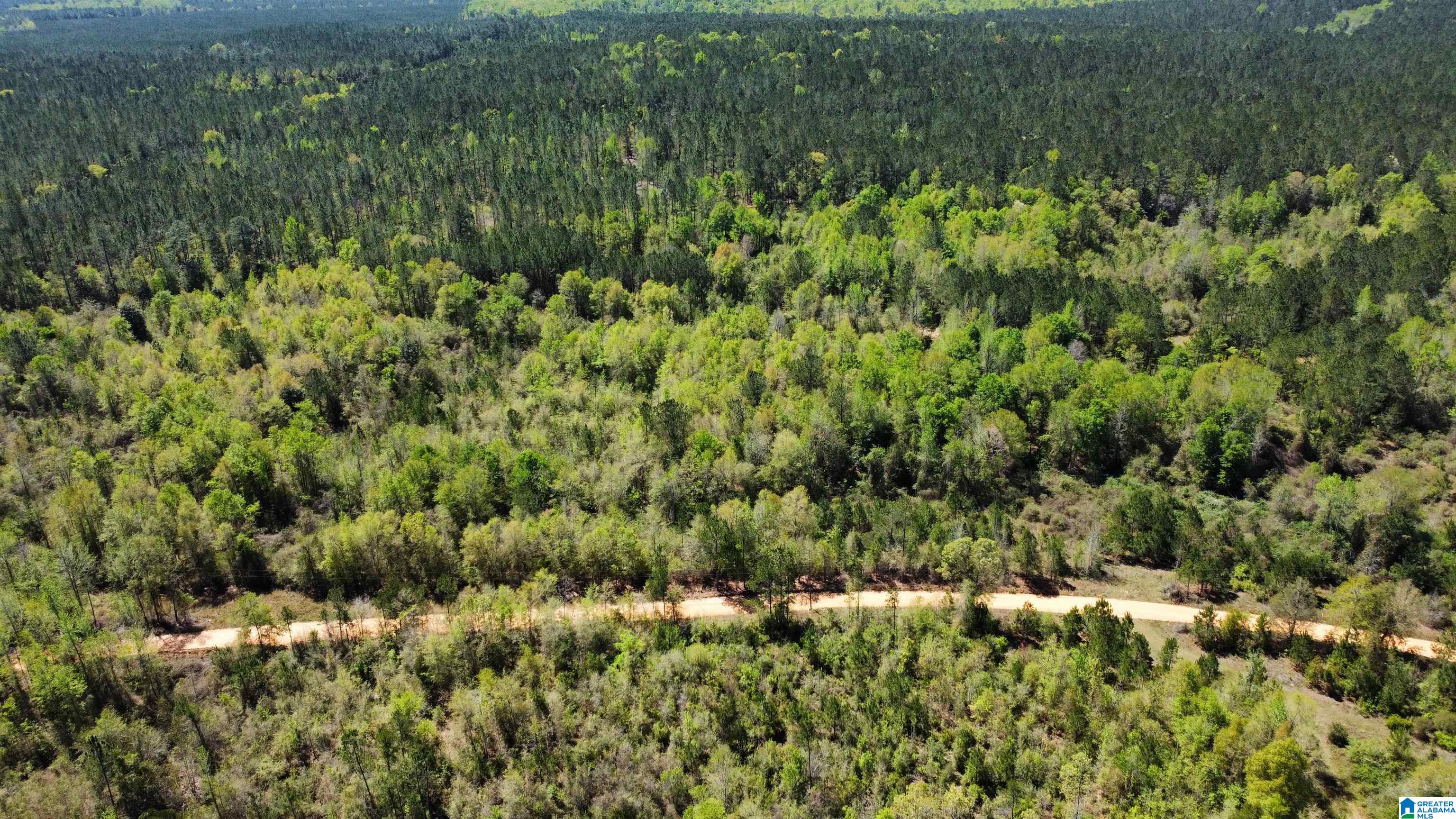 0 Richardson Road Brewton, AL 36426 - Photo 12 of 47