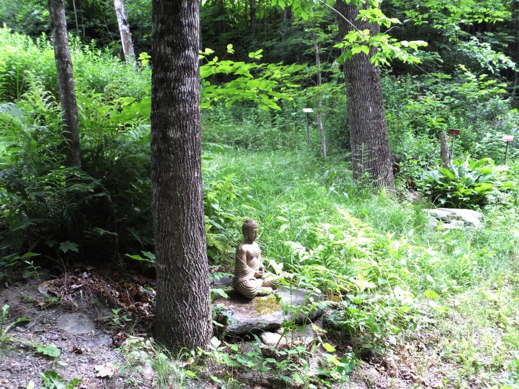 3466 Morse Brook Road Westminster, VT 05346 - Photo 22 of 22 Gallery Image 22