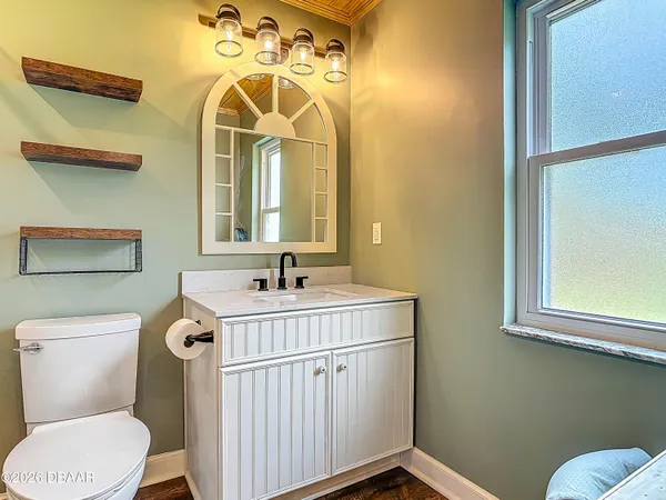 a view of a backyard with plants and large trees