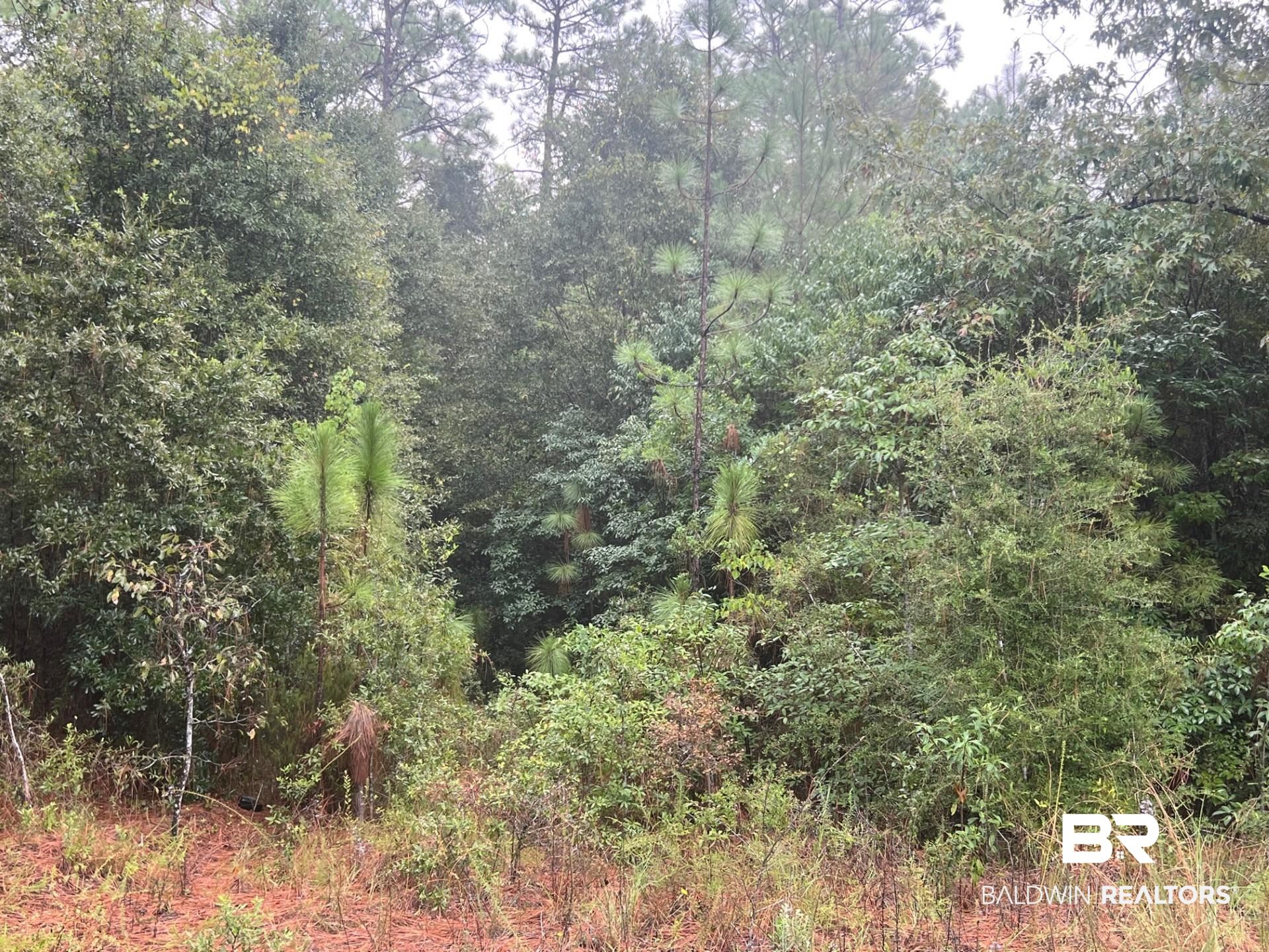 7574 Kali Oka Road Saraland, AL 36571 - Photo 1 of 1