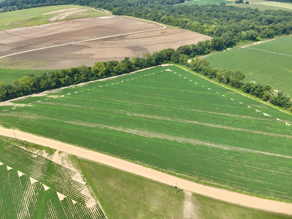 2.83-acres Burdeshaw Road Dothan, AL 36301 - Photo 3 of 11