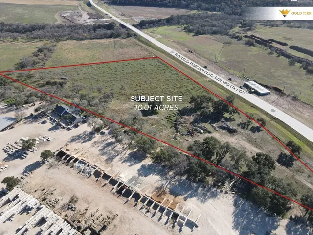 a picture of flowers and flowers