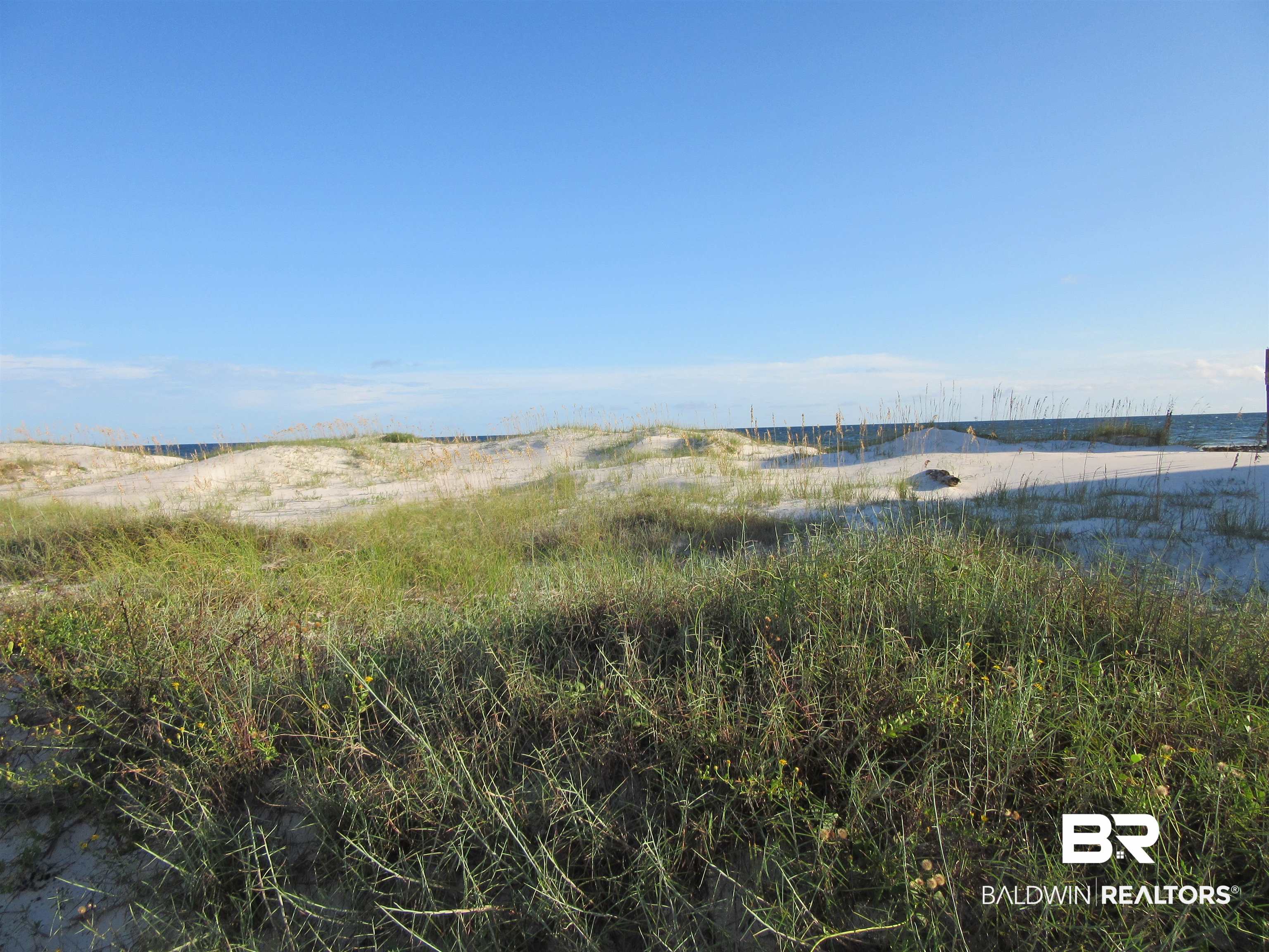 Beach Boulevard Gulf Shores, AL 36542 - Photo 14 of 14 Natural Vegetation