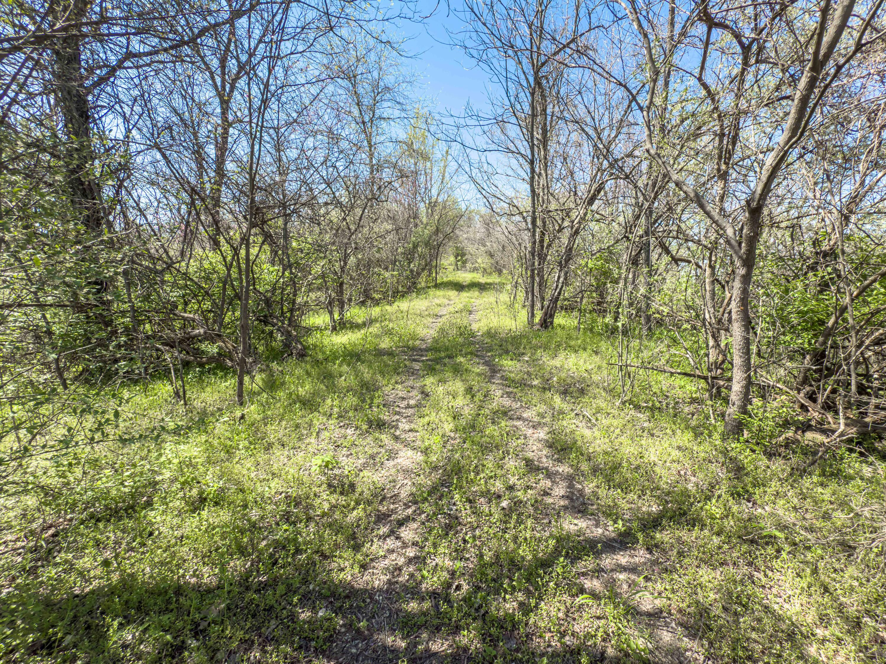 14375 Hooper Ridge Road Millfield, OH 45761 - Photo 65 of 86 Hooper Ridge Rd-64