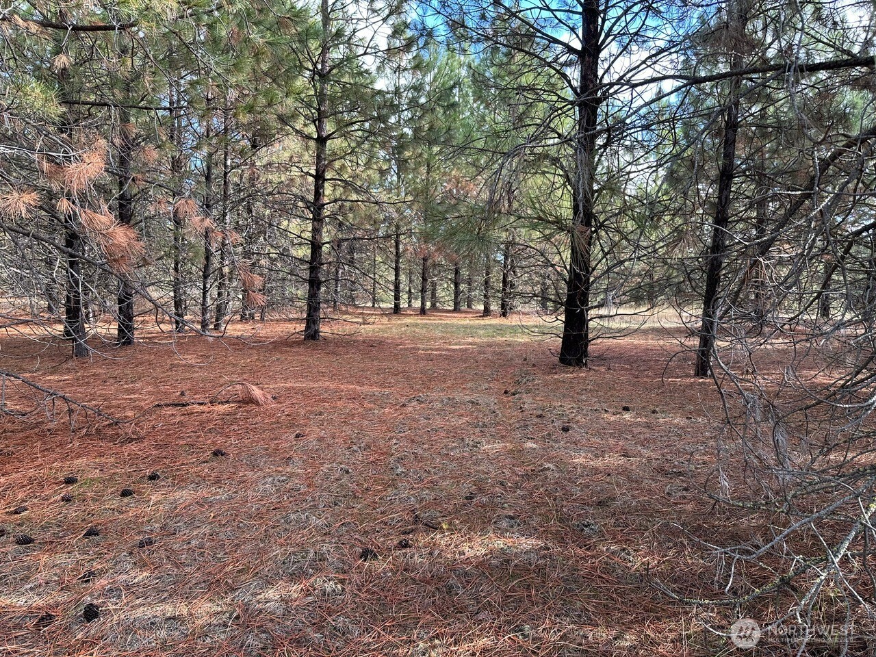 3 Garrison Road Goldendale, WA 98620 - Photo 5 of 9 a view of empty field with trees in back