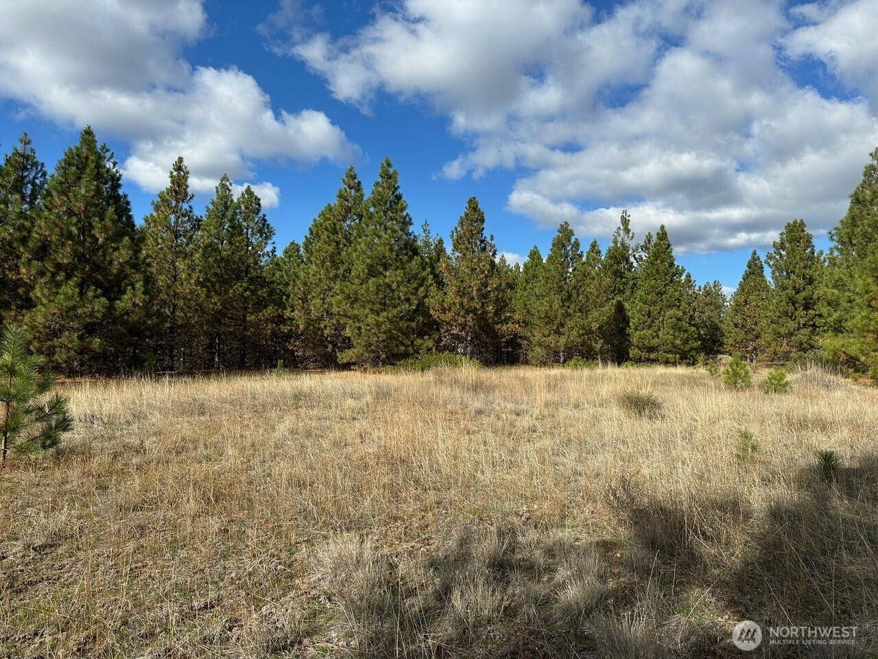 3 Garrison Road Goldendale, WA 98620 - Photo 6 of 9 a view of a yard