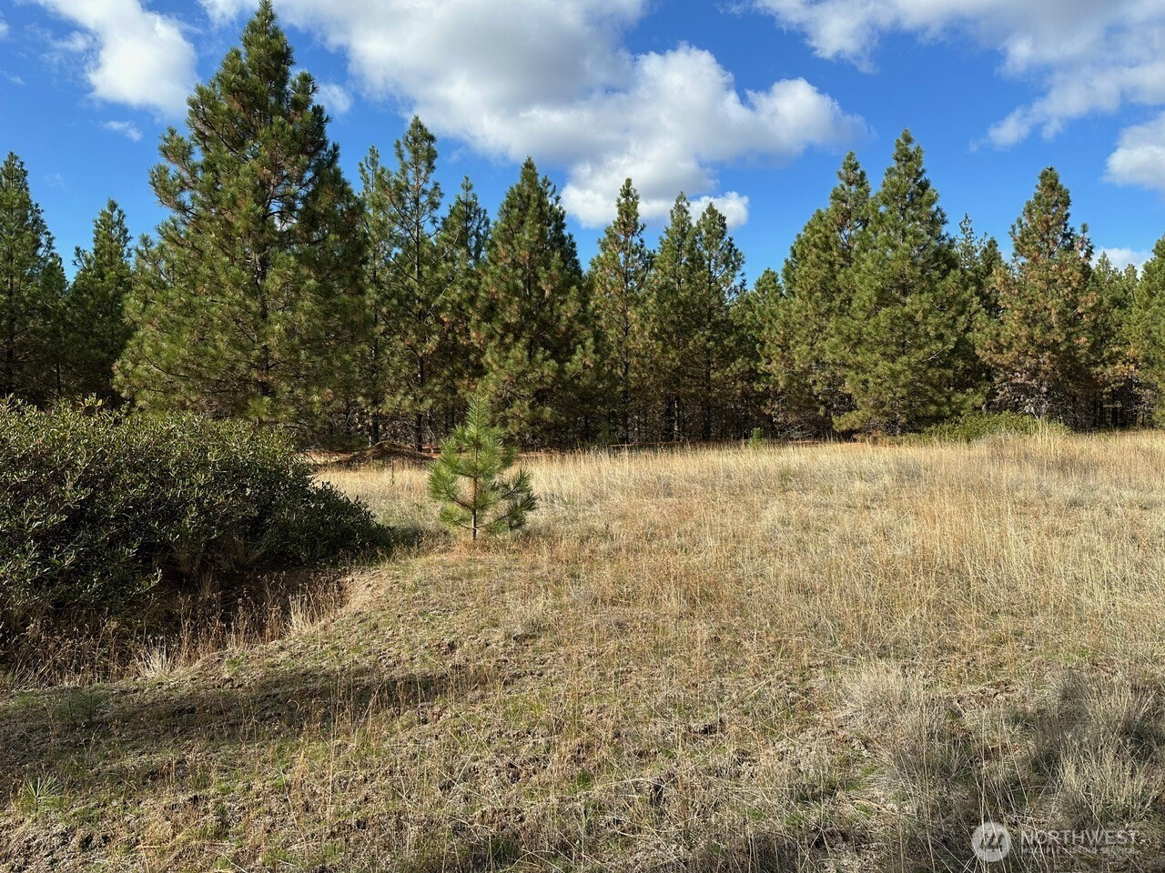 3 Garrison Road Goldendale, WA 98620 - Photo 7 of 9 a view of yard
