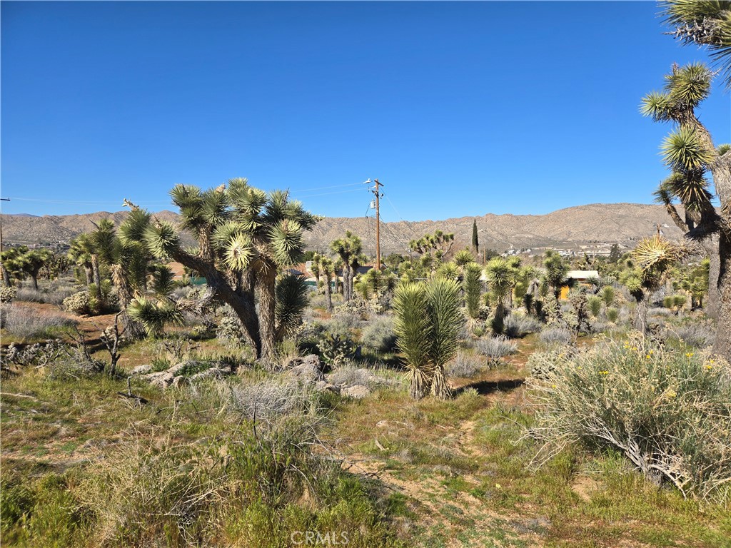 55000 Bunny Road Yucca Valley, CA 92284 - Photo 2 of 4 a view of a city with a mountain in the background