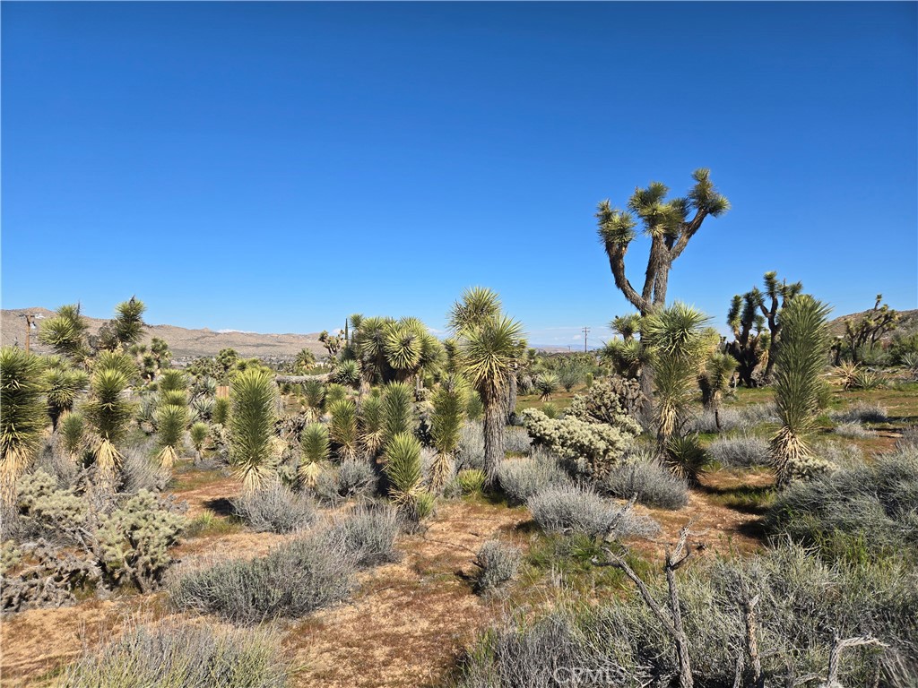 55000 Bunny Road Yucca Valley, CA 92284 - Photo 4 of 4 a view of a sky
