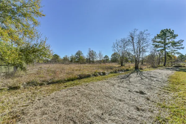 a view of outdoor space with trees all around