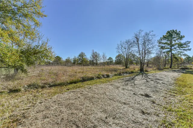 a view of outdoor space with trees all around