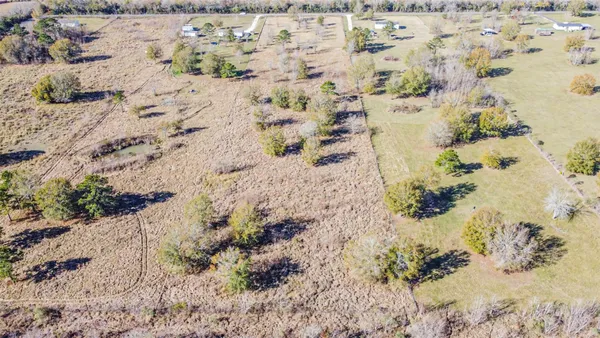 a view of a dry yard with trees