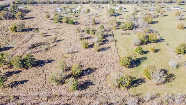 a view of a dry yard with trees