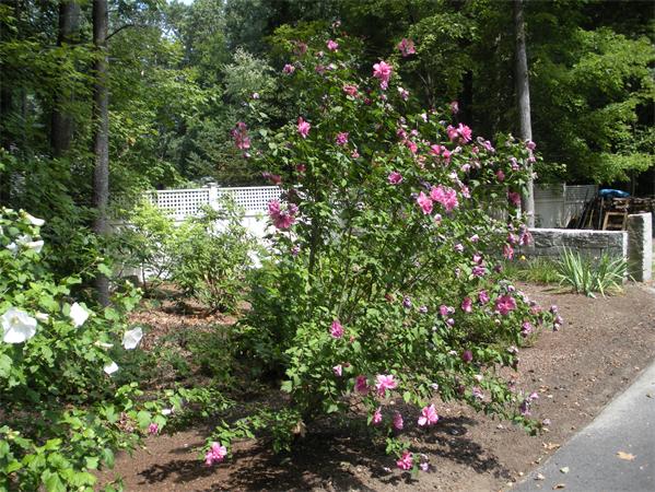 96 Ann Lees Road Harvard, MA 01451 - Photo 13 of 21 Gallery Image 13