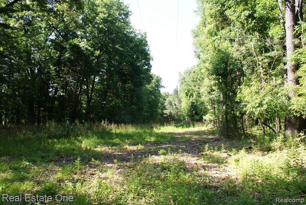 2 McKeen Lake Road Columbiaville, MI 48421 - Photo 22 of 51
