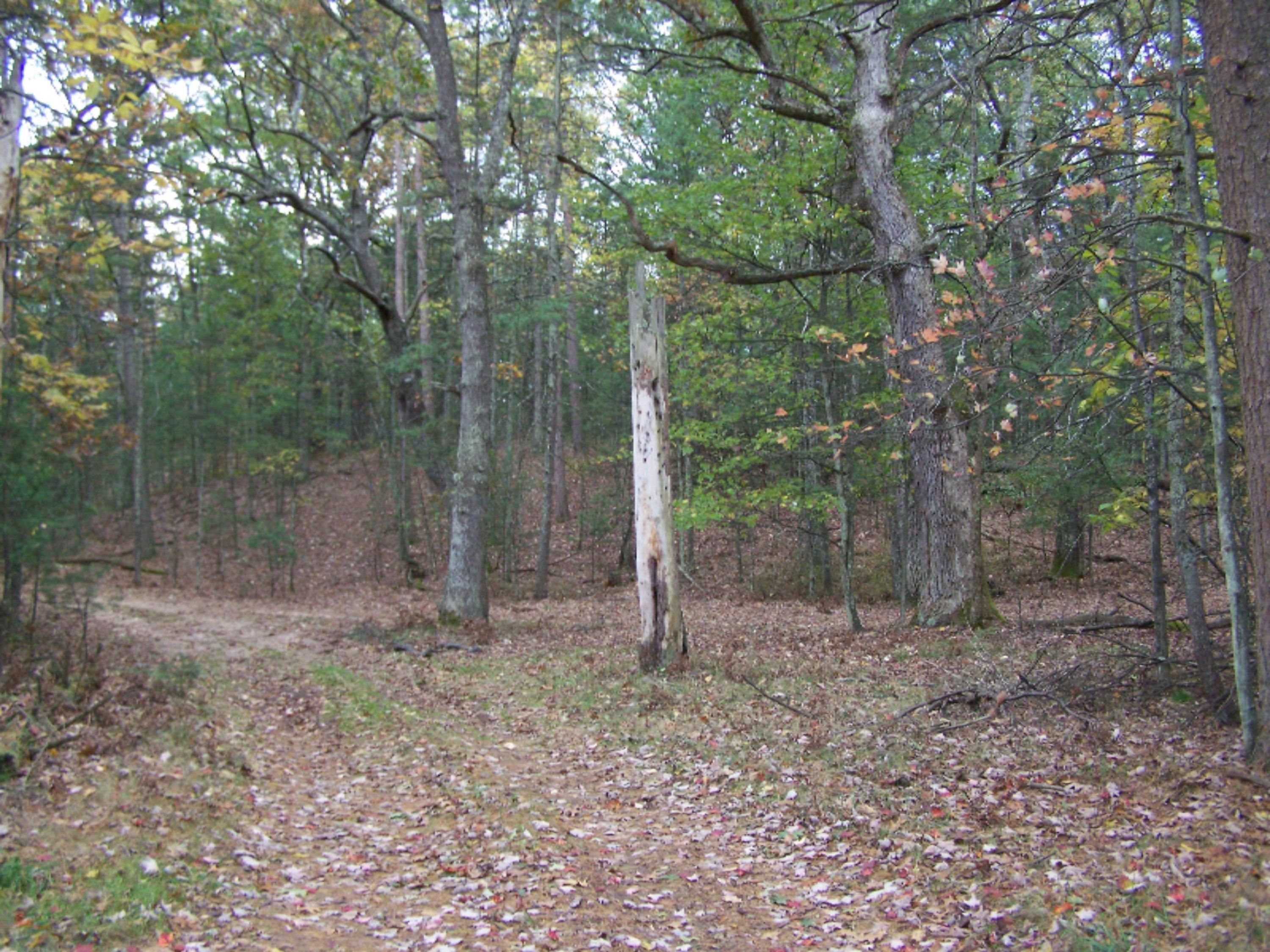 48-51 Longbridge Road Pentwater, MI 49449 - Photo 3 of 6 100_4777