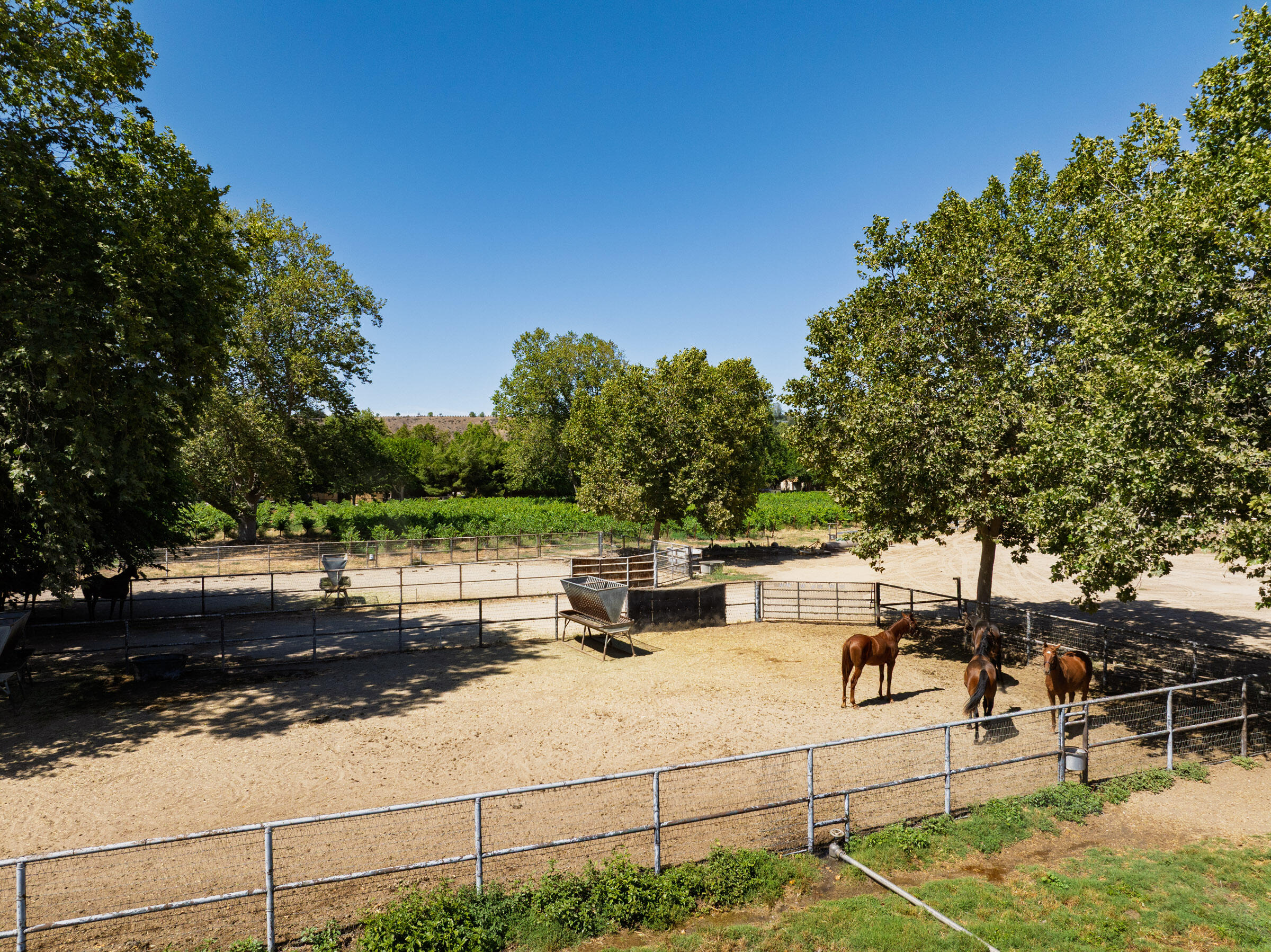 801 East Highway 246 Solvang, CA 93463 - Photo 15 of 41 a view of a patio with table and chairs and potted plants with large tree
