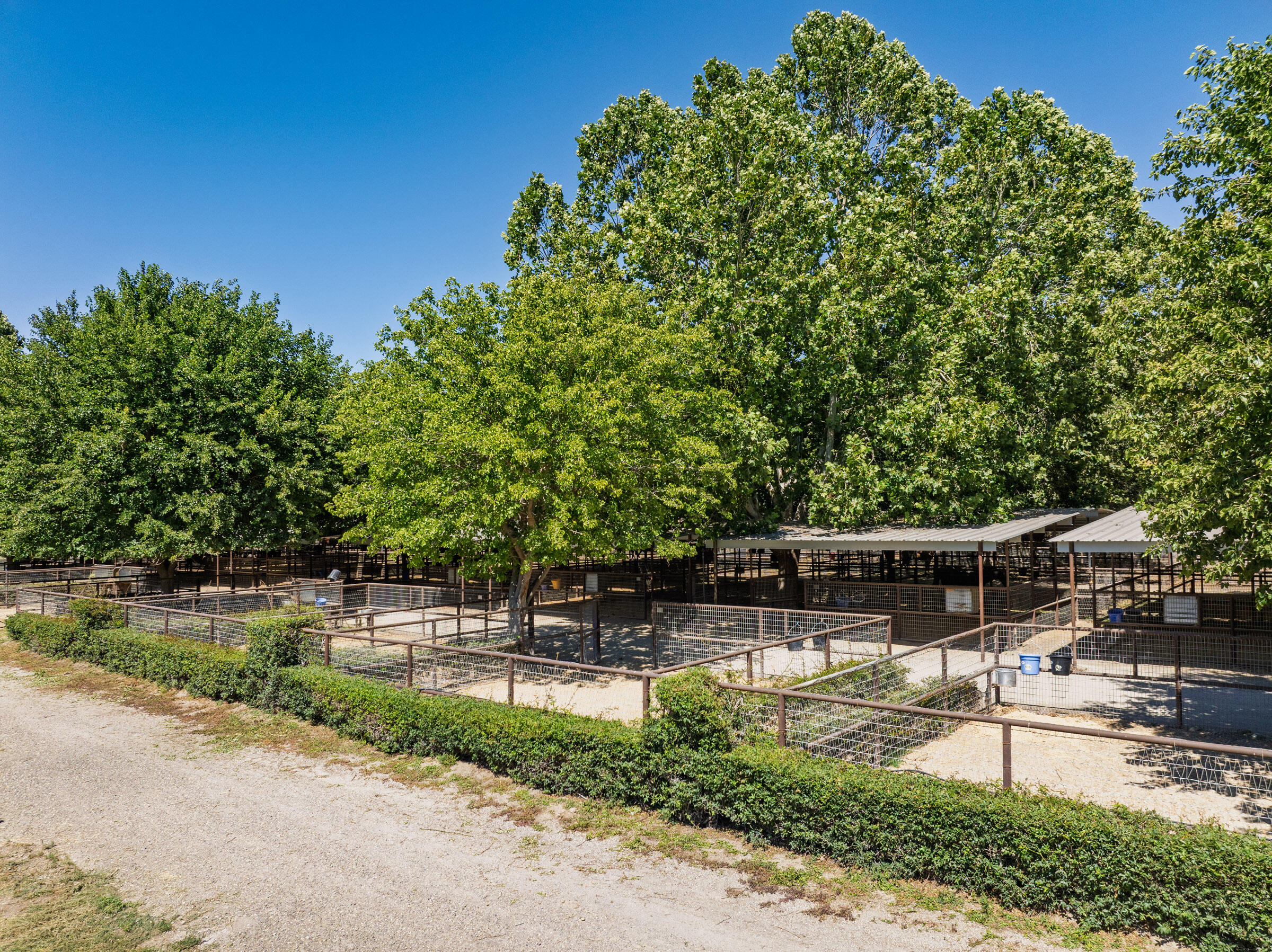 801 East Highway 246 Solvang, CA 93463 - Photo 17 of 41 a view of a yard with plants and a lake view