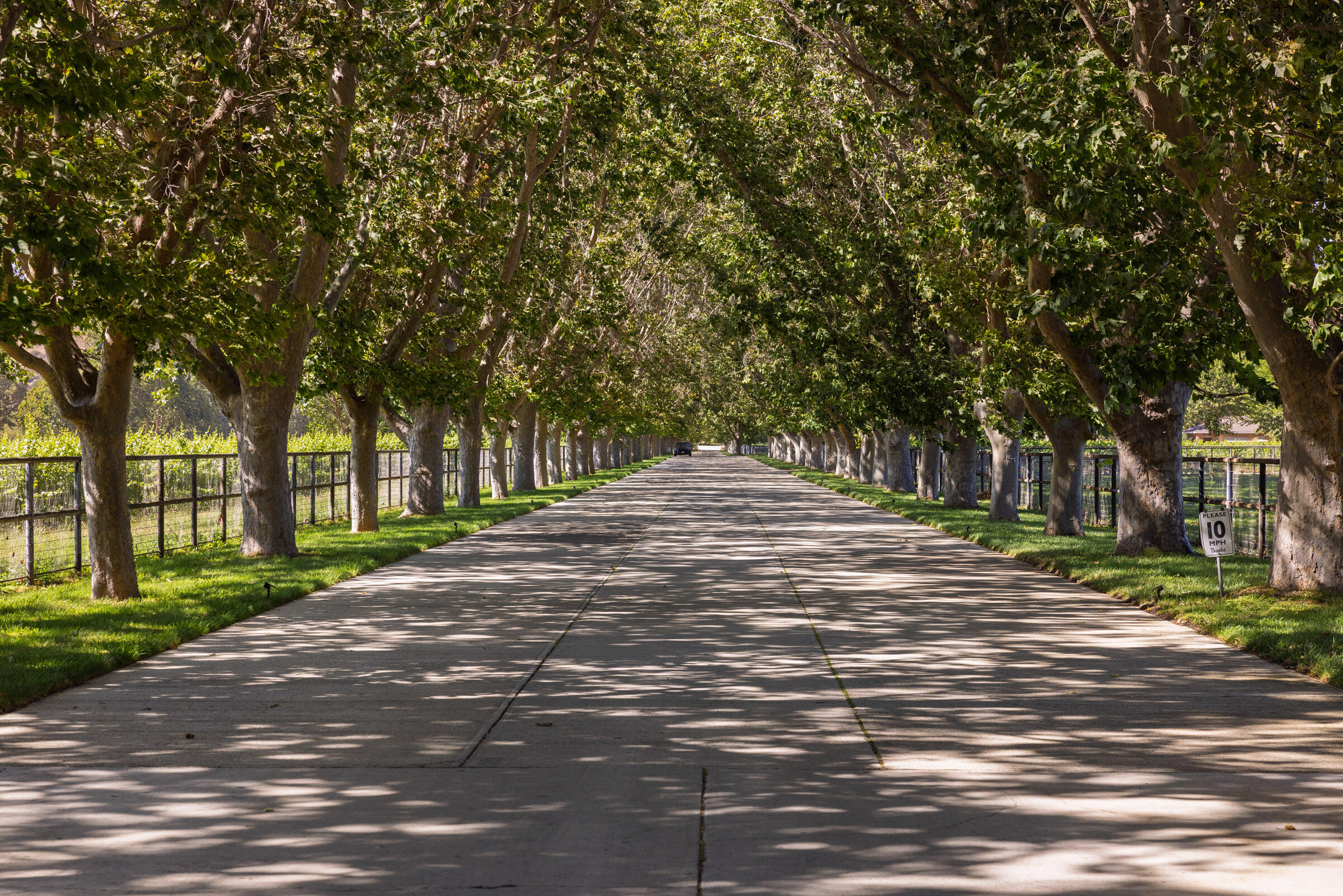 801 East Highway 246 Solvang, CA 93463 - Photo 24 of 41 a view of road with trees