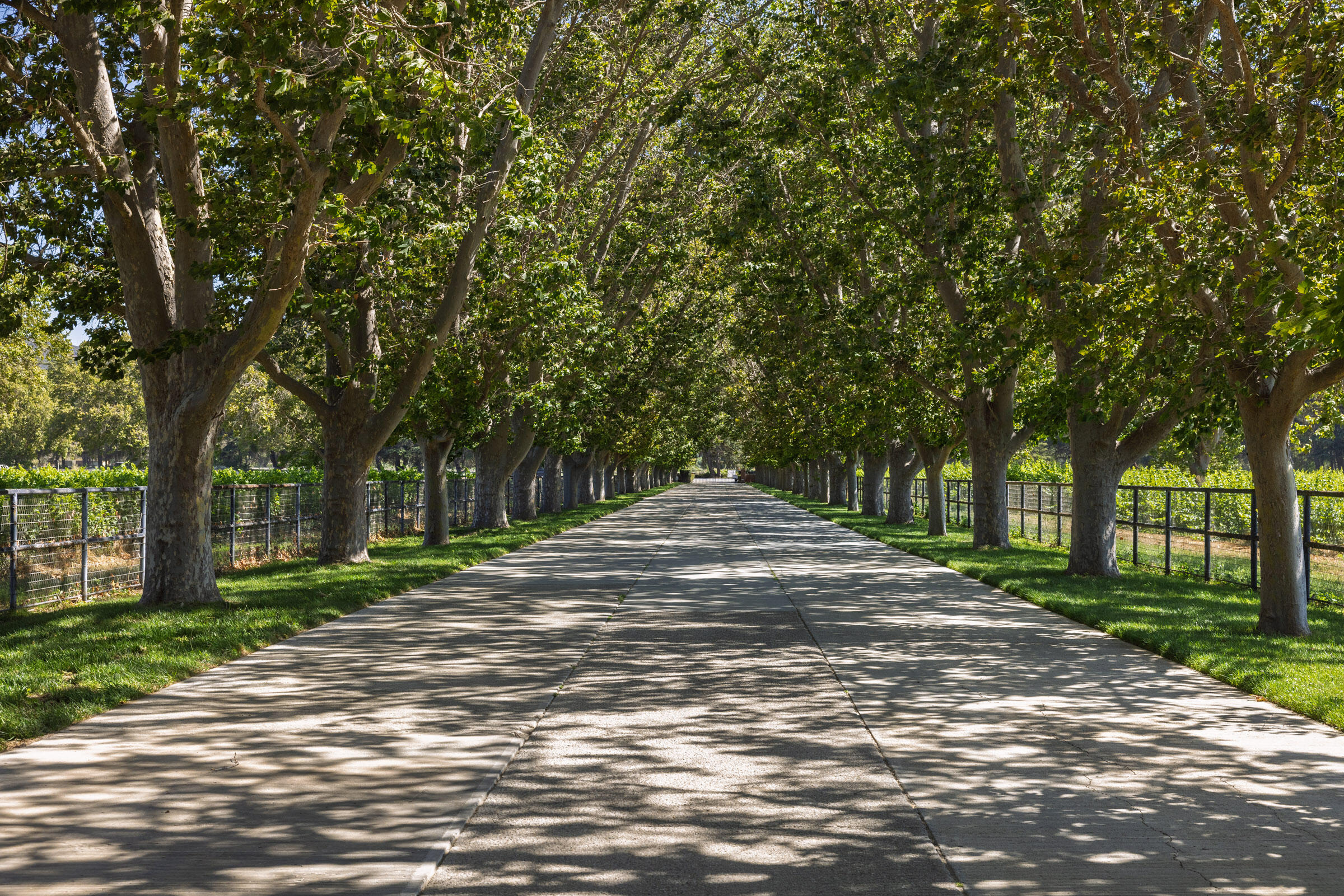 801 East Highway 246 Solvang, CA 93463 - Photo 27 of 41 a view of a street with a house in the background