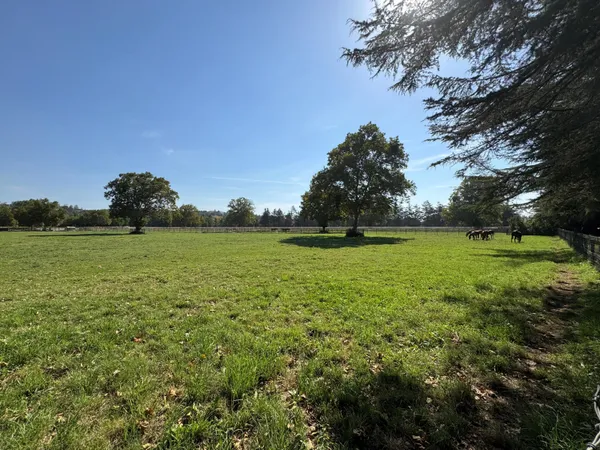 a view of a park