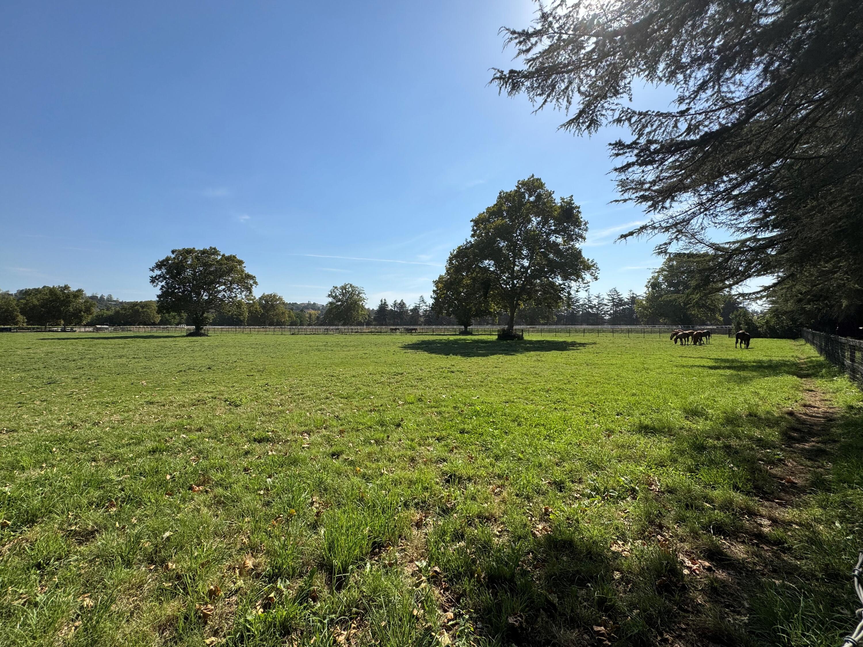 801 East Highway 246 Solvang, CA 93463 - Photo 37 of 41 a view of a grassy field with an trees
