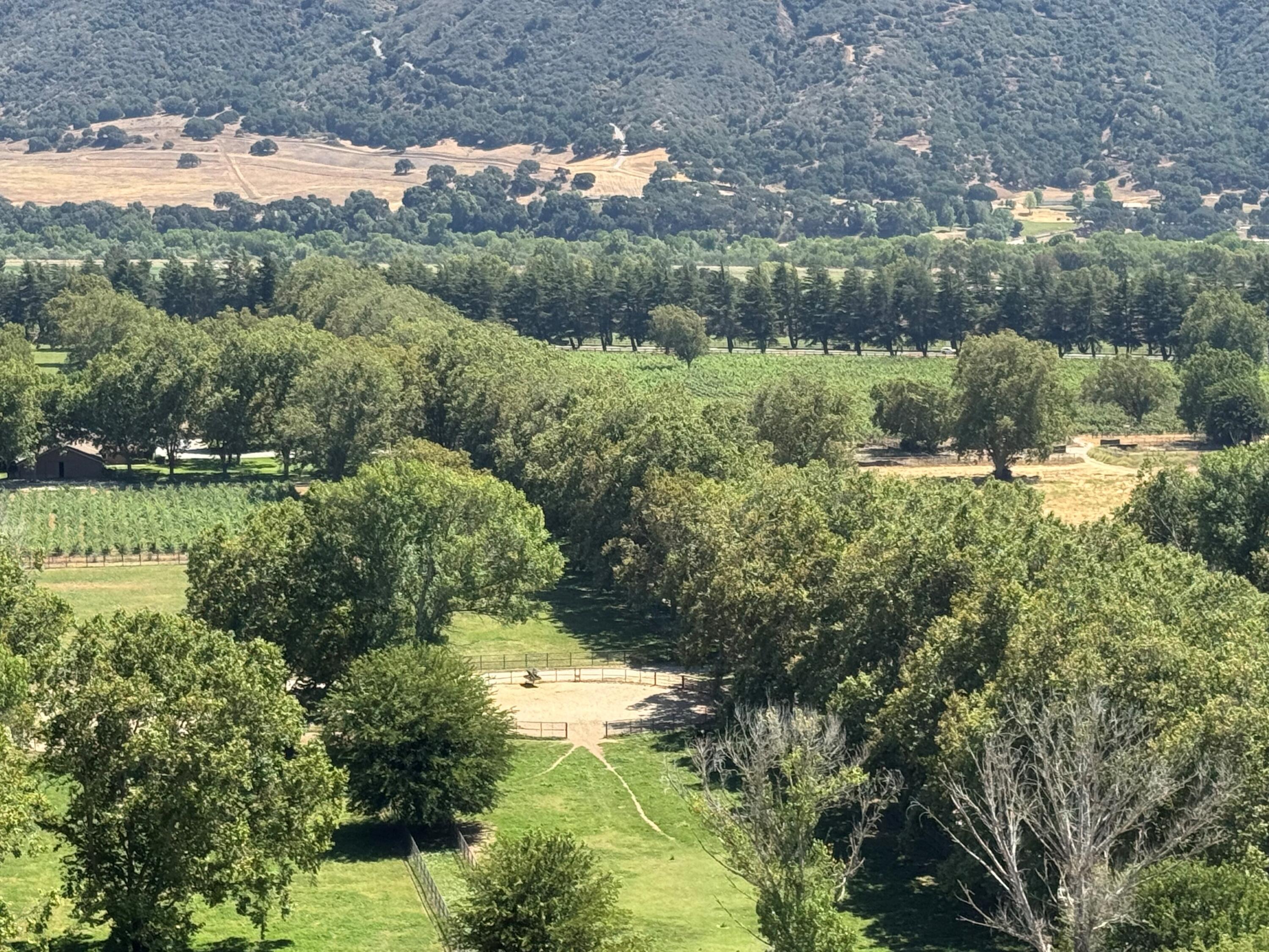 801 East Highway 246 Solvang, CA 93463 - Photo 39 of 41 a view of a lake in middle of forest