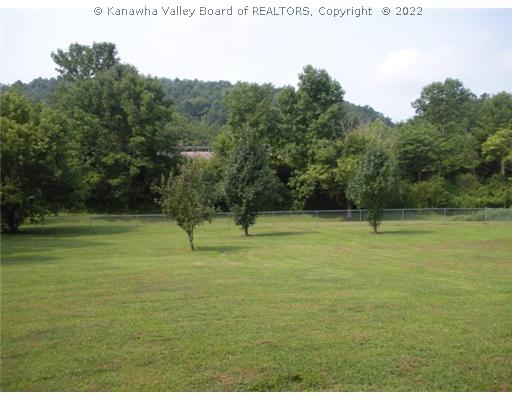 954 Grasslick Ripley, WV 25271 - Photo 11 of 13 Yard/Garden.