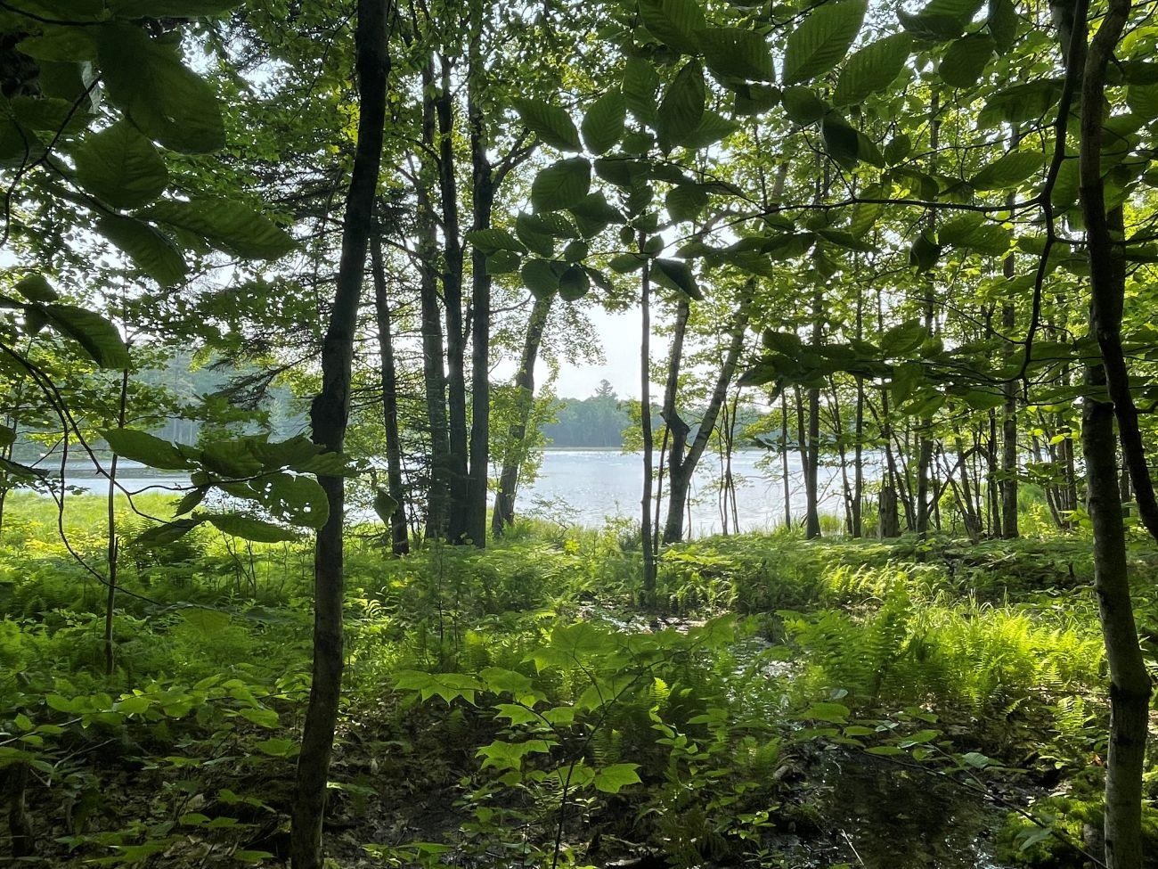 0 North Hidden Lake Road Stoddard, NH 03464 - Photo 1 of 17 Gallery Image 1