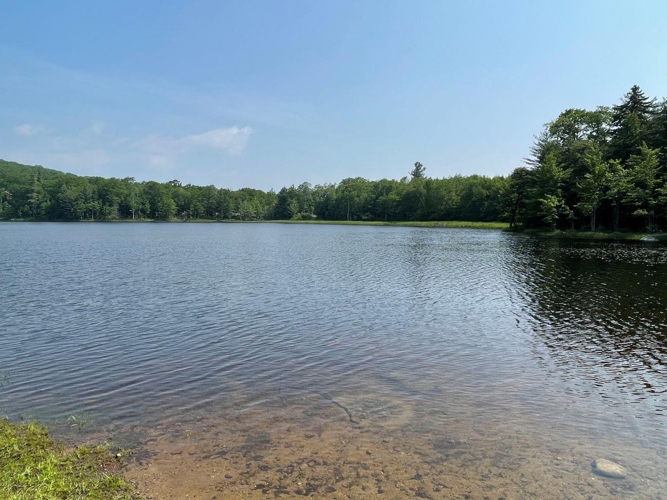 0 North Hidden Lake Road Stoddard, NH 03464 - Photo 15 of 17 Gallery Image 15