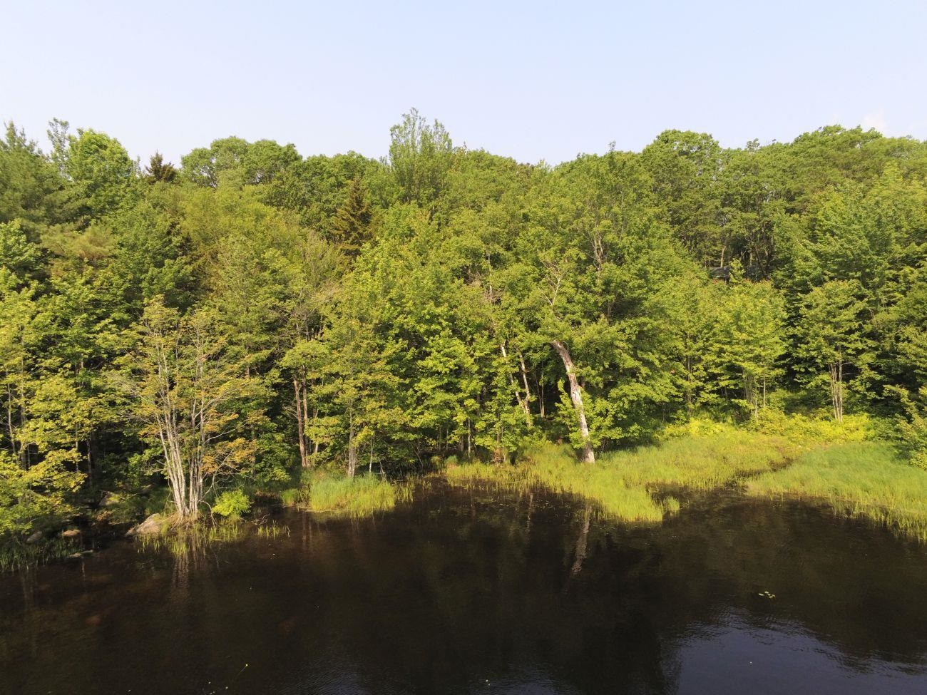 0 North Hidden Lake Road Stoddard, NH 03464 - Photo 2 of 17 Gallery Image 2