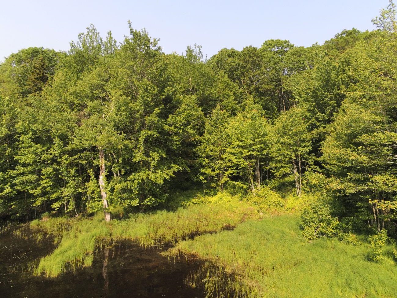 0 North Hidden Lake Road Stoddard, NH 03464 - Photo 6 of 17 Gallery Image 6