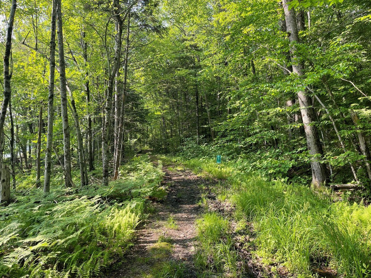 0 North Hidden Lake Road Stoddard, NH 03464 - Photo 10 of 17 Gallery Image 10