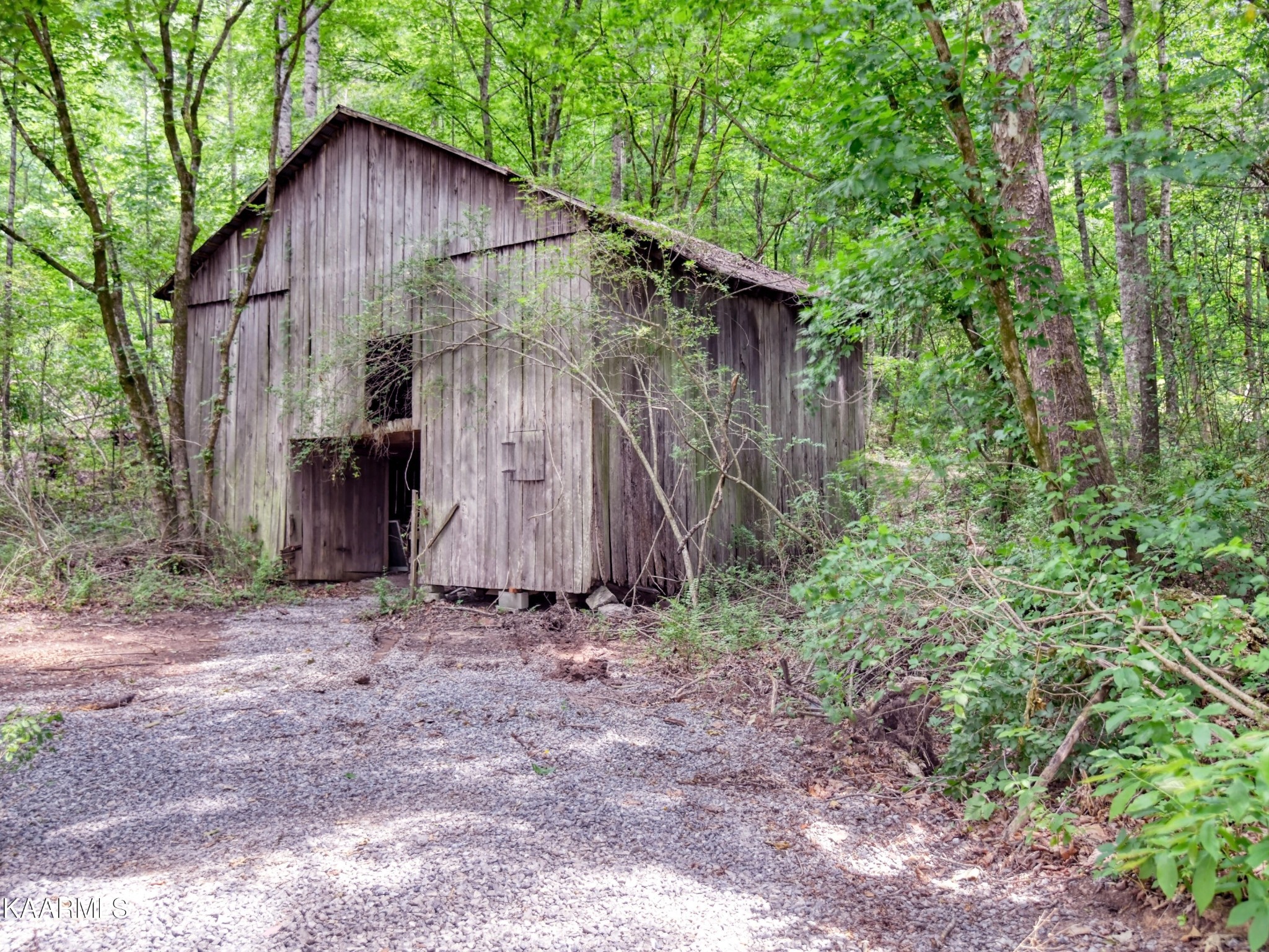 679 Blockhouse Valley Road Clinton, TN 37716 - Photo 30 of 45 a backyard of a house with lots of plants and trees