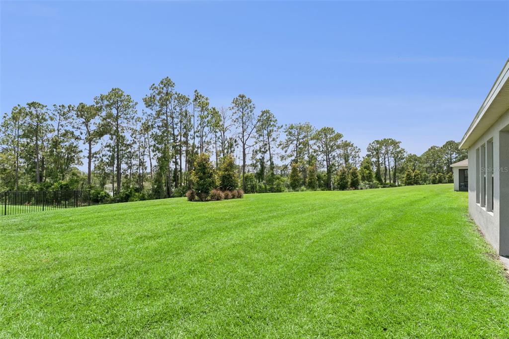 17798 Adrift Road Winter Garden, FL 34787 - Photo 42 of 81