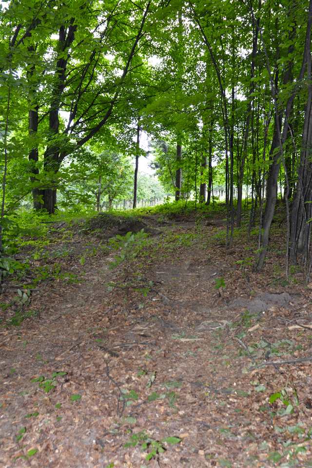 3 North Putnam Road Suttons Bay, MI 49682 - Photo 31 of 39 1838016-30.JPG