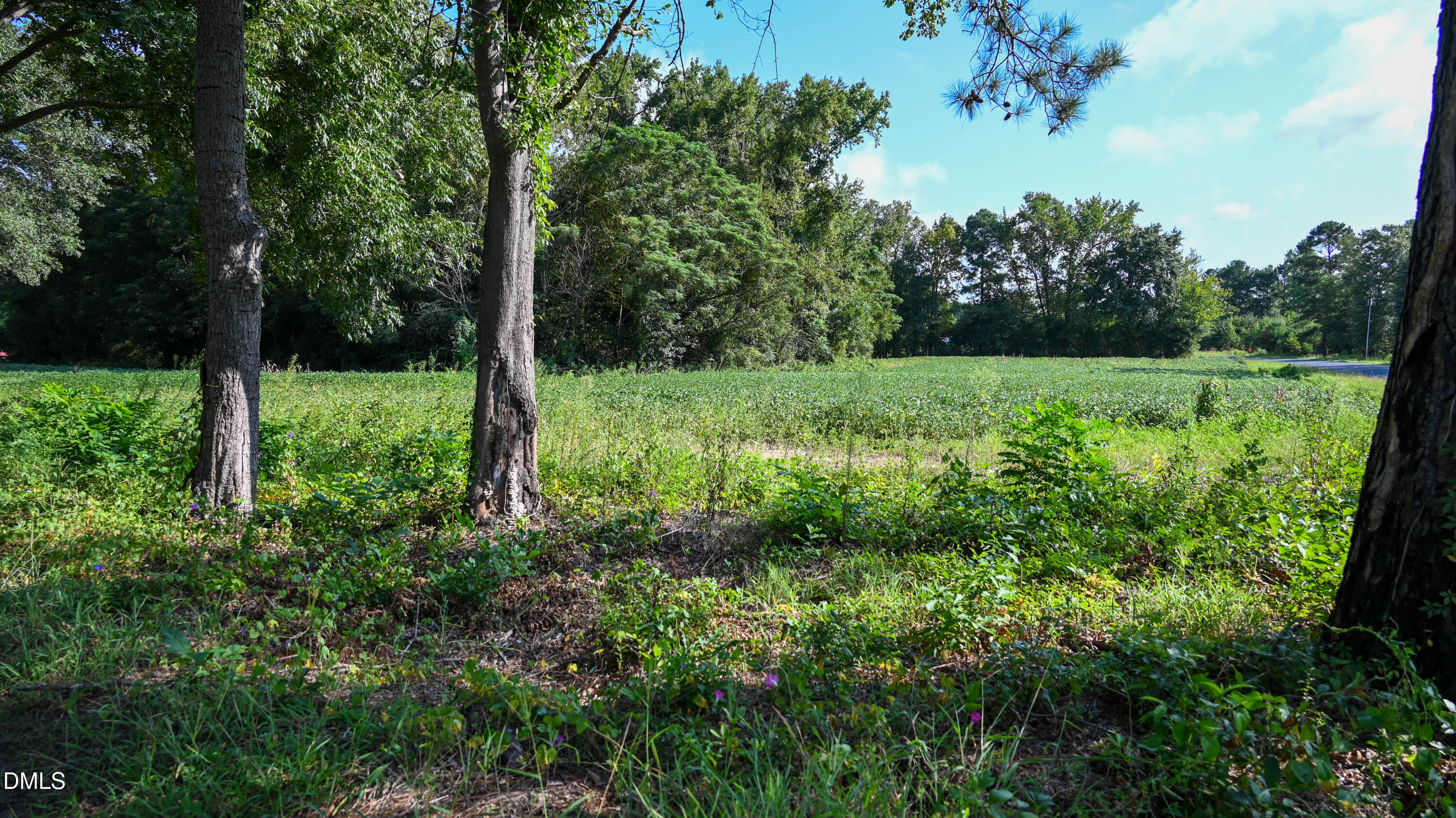 Tbd Jacobs Road Maxton, NC 28364 - Photo 17 of 23 RAE_0778