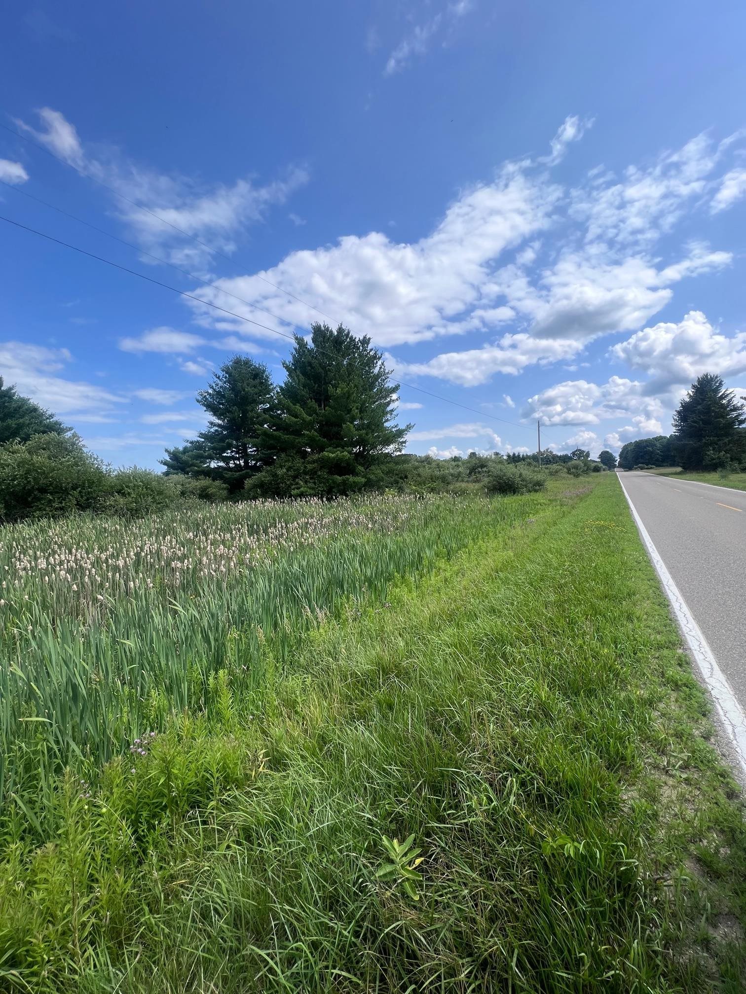 Tbd West Pickard Road Remus, MI 49340 - Photo 12 of 15