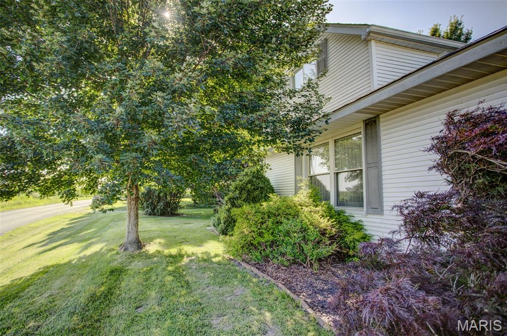 6063 Seiler Road Dorsey, IL 62021 - Photo 5 of 80