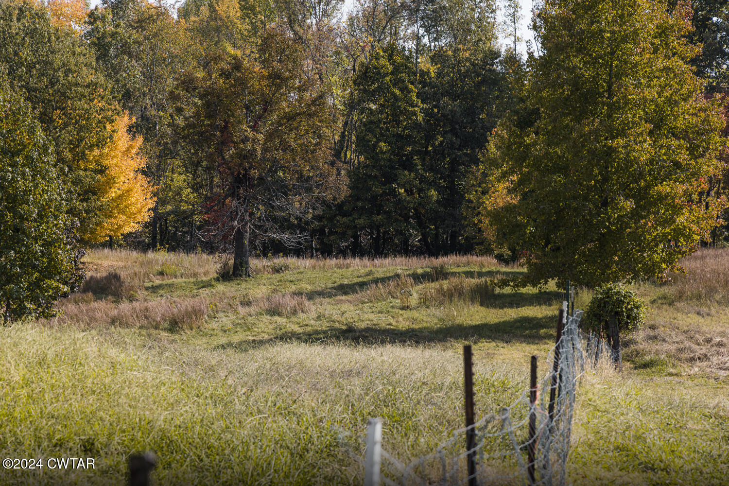 300 Meek Street Martin, TN 38237 - Photo 13 of 19 FT8A9583