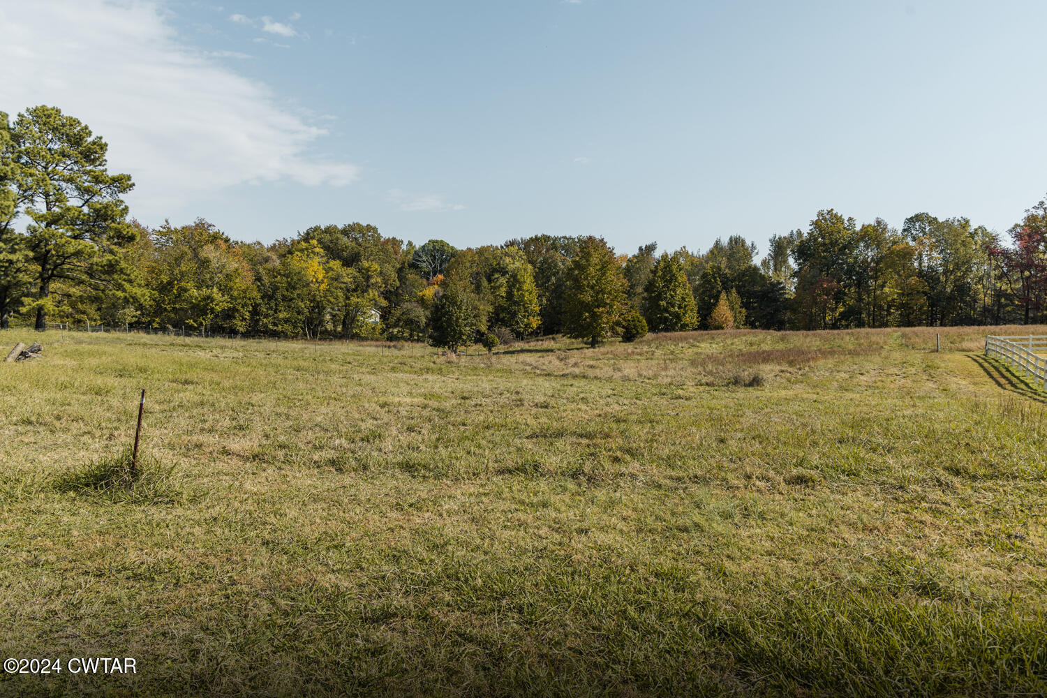 300 Meek Street Martin, TN 38237 - Photo 16 of 19 FT8A9587