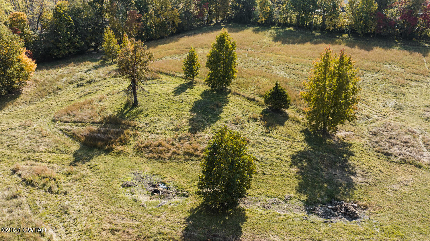 300 Meek Street Martin, TN 38237 - Photo 8 of 19 DJI_20241024110818_0008_D