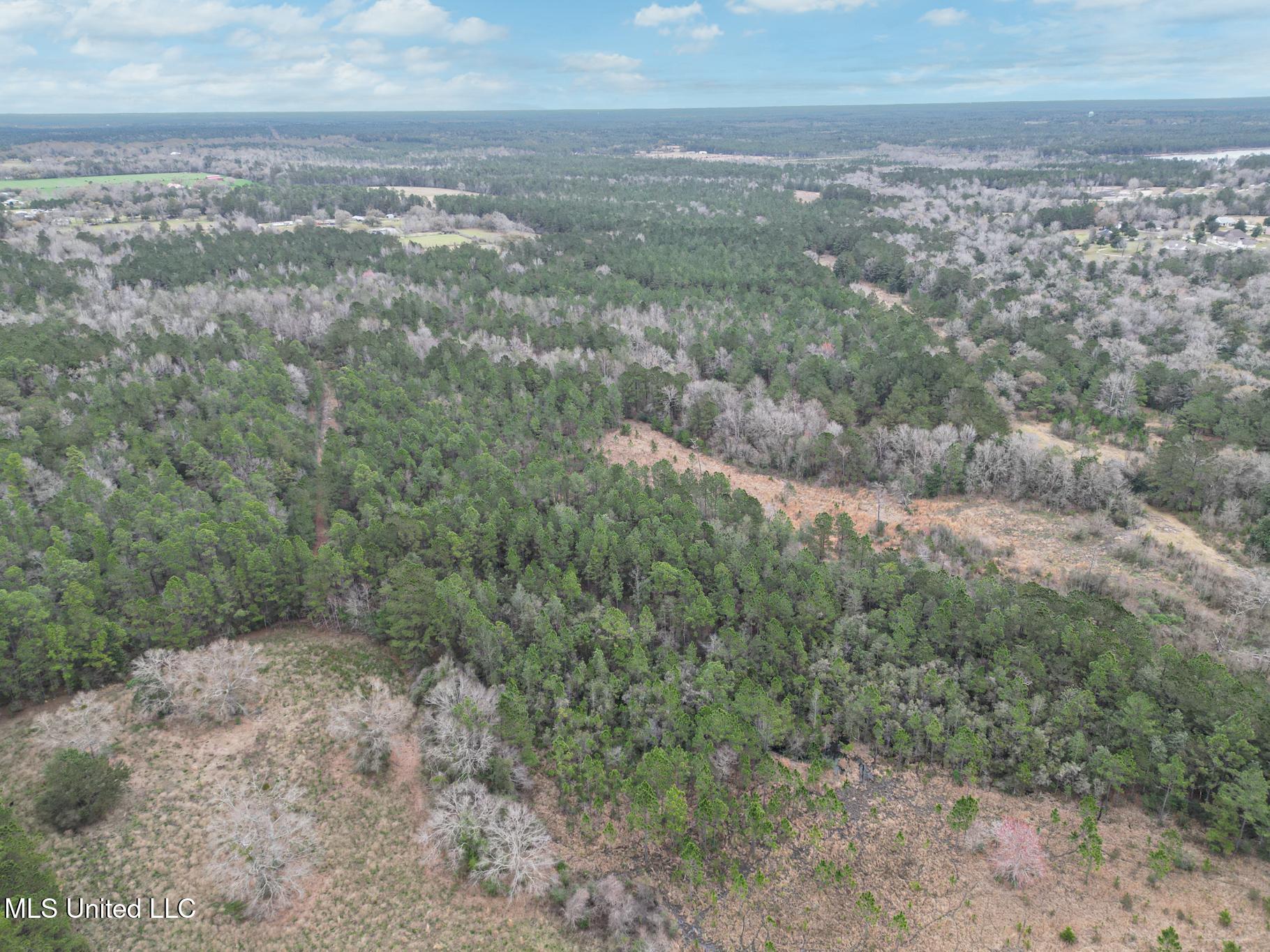 43 Parcel 2 Picayune, MS 39466 - Photo 6 of 8 Hwy 43- 135 acres