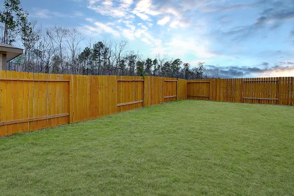 a view of a backyard